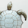 Beachcomber - Turtle Wall Art