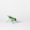 Spring Fever  - Large Grasshopper
