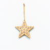 Wood and Silver Christmas - Small Star Hanger