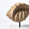 Natures Legacy - Conch Shell on Plinth