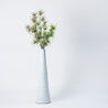 Basics - One - Medium Stem Vase