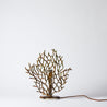 Tree of Life - Small Coral Lampbase