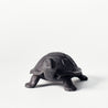 Cast Iron Investment - Small Tortoise