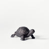 Cast Iron Investment - Small Tortoise