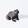 Cast Iron Investment - Small Frog