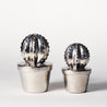 Oresome - Large Cactus and Pot