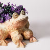 Studio Terracotta - Large Frog Planter