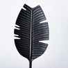 Black and White - Small Tropical Leaf on Plinth