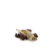 Creature Comforts - Crocodile Dog Toy