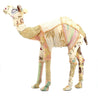 Beige Sari Rascals  - Mega Standing Camel