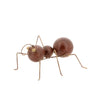 Rustic Chic - Large Ant