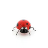 Spring Fever - Medium Ladybird