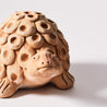 Studio Terracotta - Naïve Tortoise - Holes